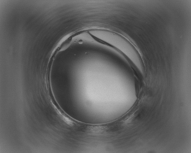 X0000052641293200507011336