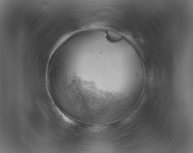 X0000052641294200507011336