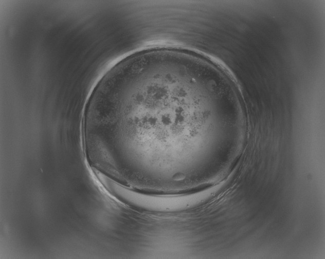 X0000052641295200507011336