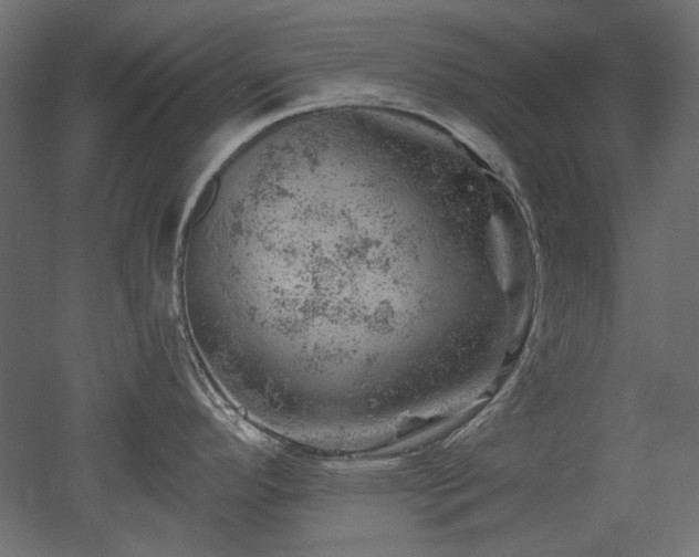 X0000052641296200507011336