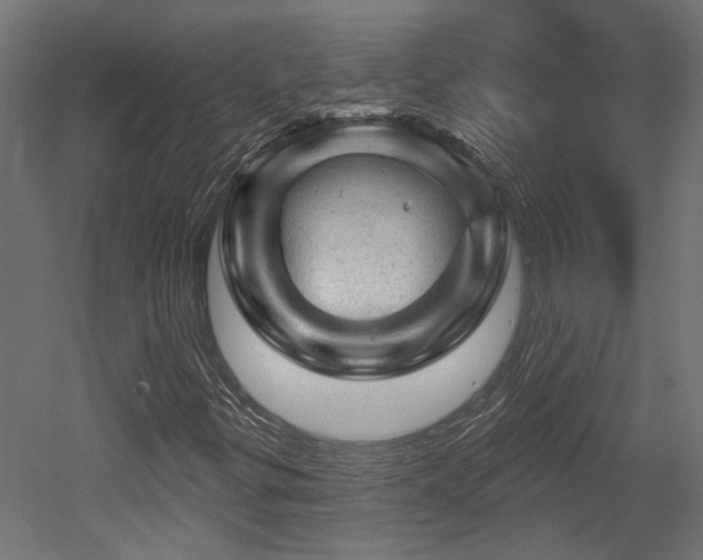 X0000052641299200507011335