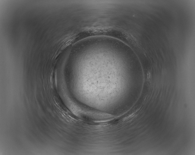 X0000052641300200507011335