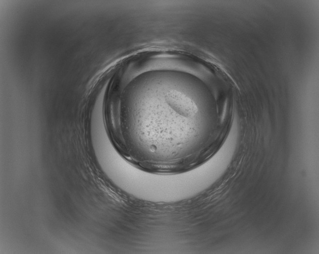 X0000052641304200507011336