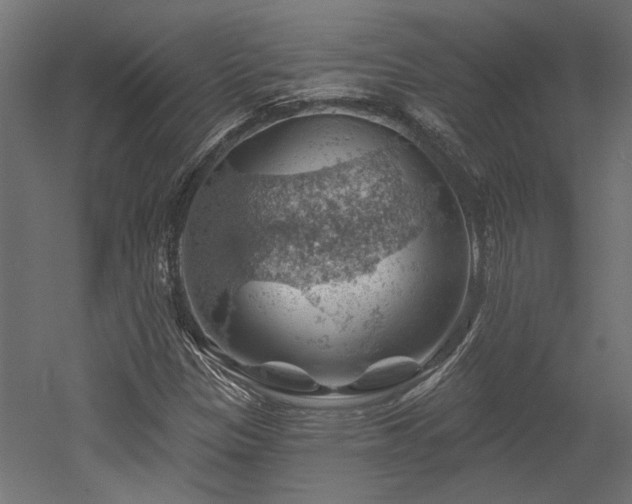 X0000052641305200507011336