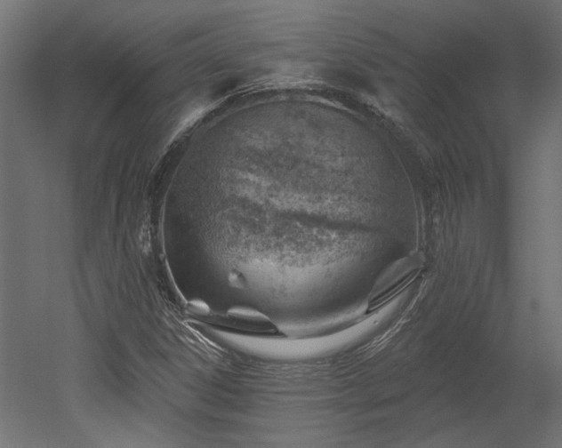 X0000052641306200507011336