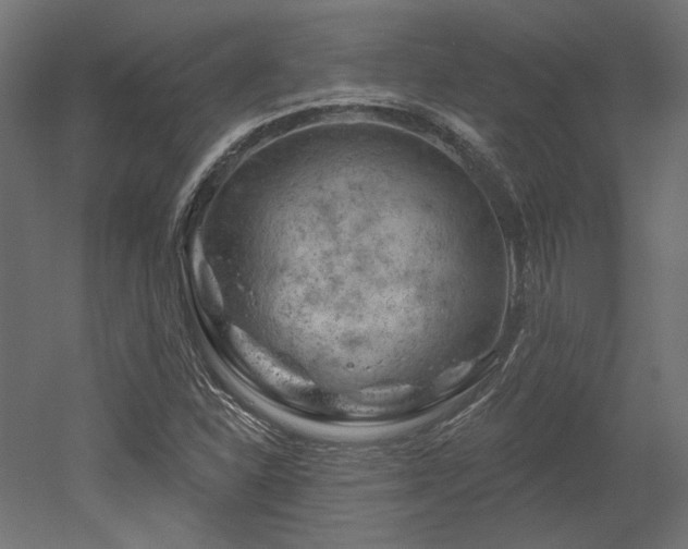 X0000052641310200507011336