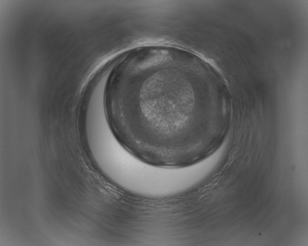 X0000052641311200507011336