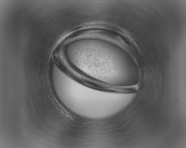 X0000052641312200507011336