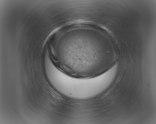 X0000052641314200507011336