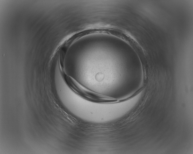 X0000052641315200507011336