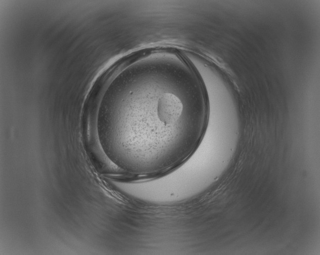 X0000052641316200507011336