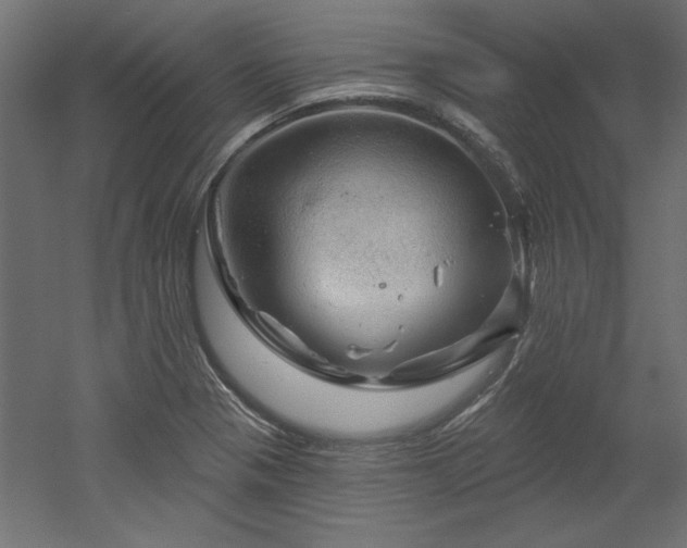 X0000052641321200507011336