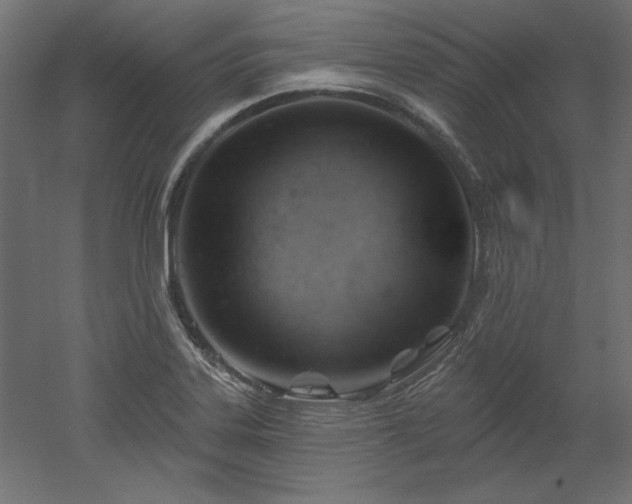 X0000052641323200507011336