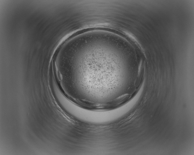 X0000052641324200507011336
