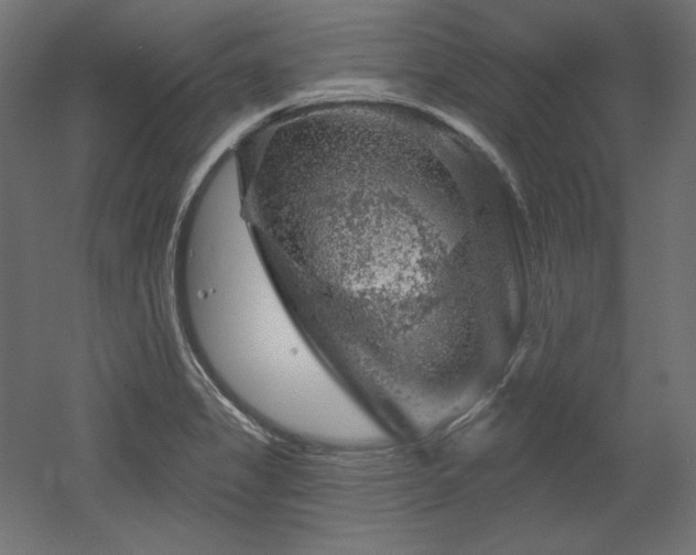 X0000052641325200507011336