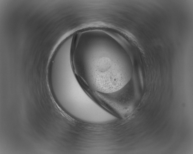 X0000052641326200507011336