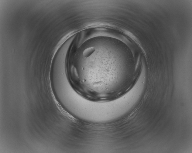 X0000052641330200507011336