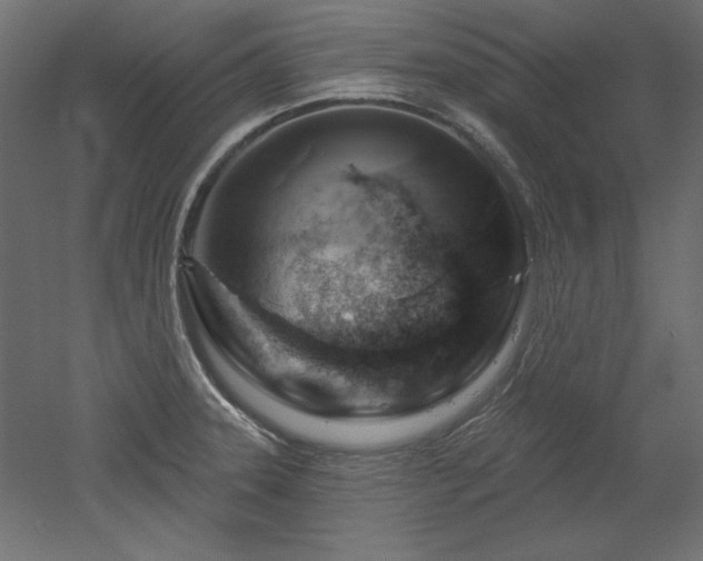 X0000052641331200507011336