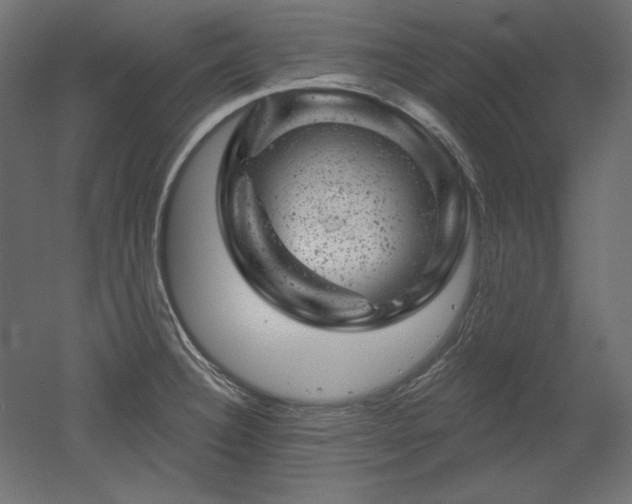 X0000052641332200507011336