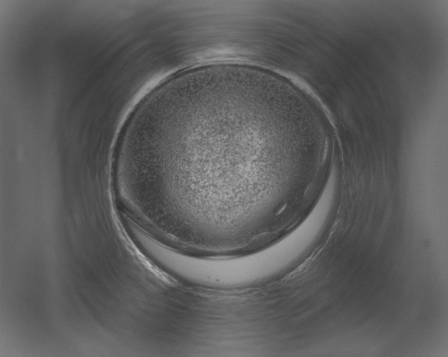 X0000052641333200507011336