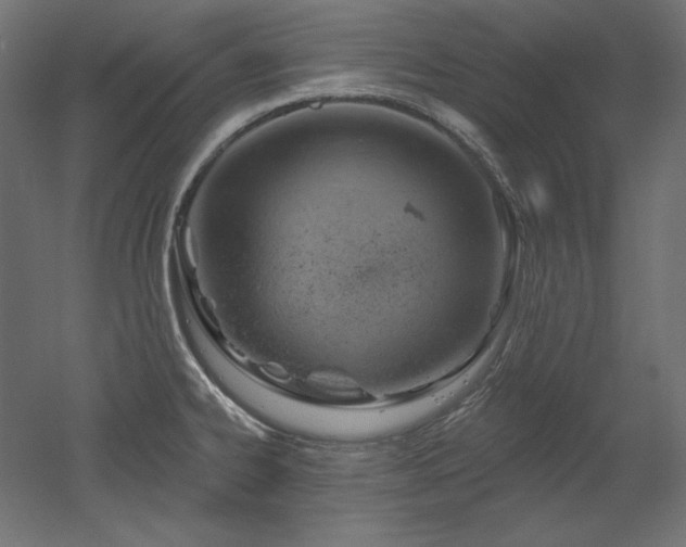 X0000052641334200507011336