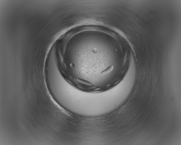 X0000052641335200507011336