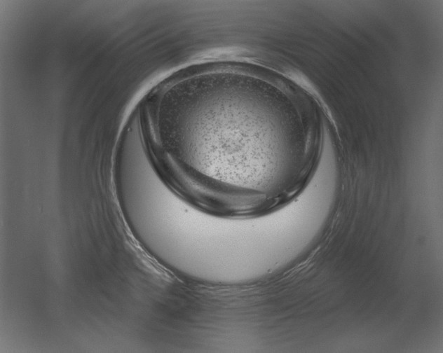 X0000052641336200507011336