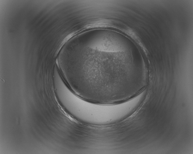 X0000052641337200507011336