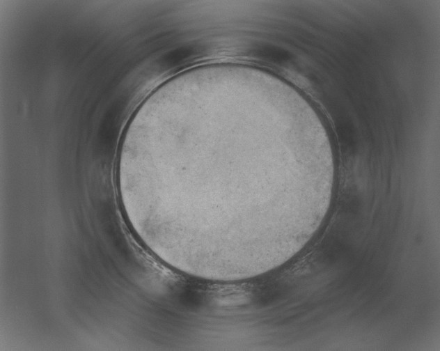 X0000052641338200507011336