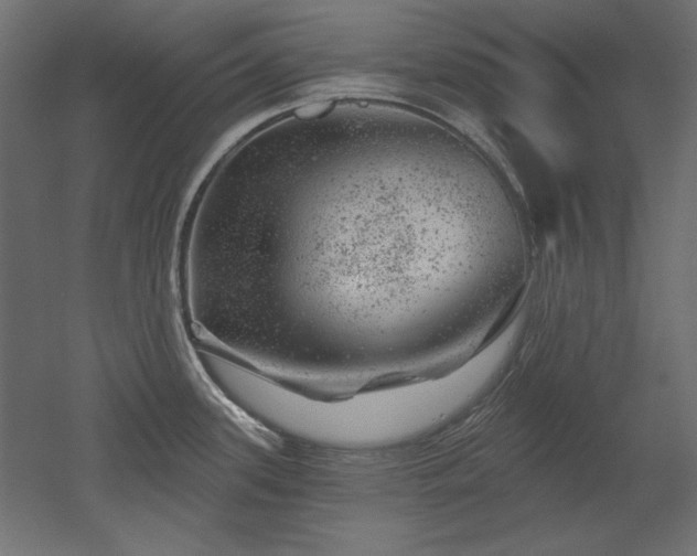 X0000052641339200507011336