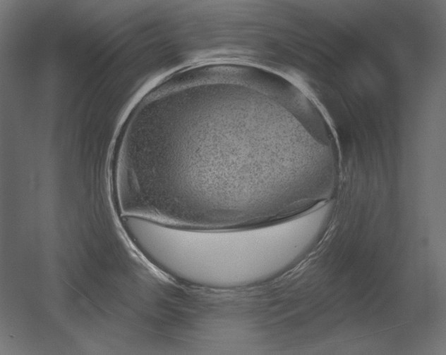 X0000052641341200507011336