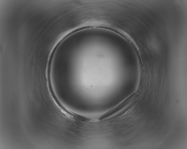 X0000052641343200507011336