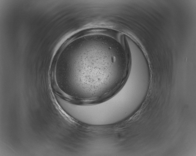 X0000052641344200507011336