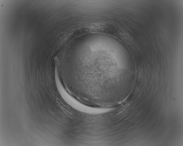X0000052641346200507011335
