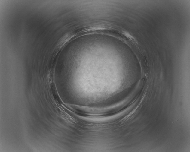 X0000052641353200507011335