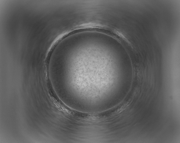 X0000052641358200507011335