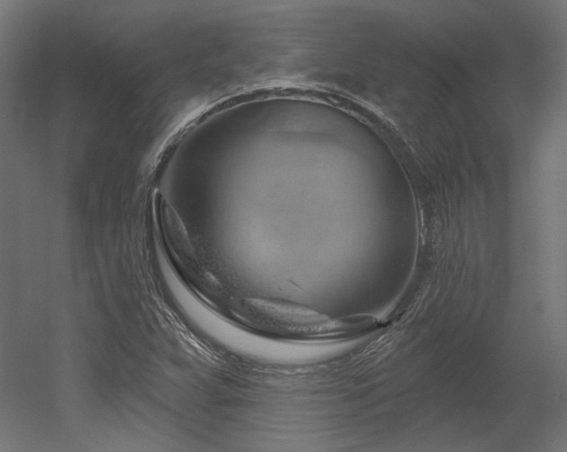 X0000052641359200507011335