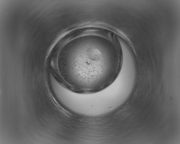 X0000052641368200507011335