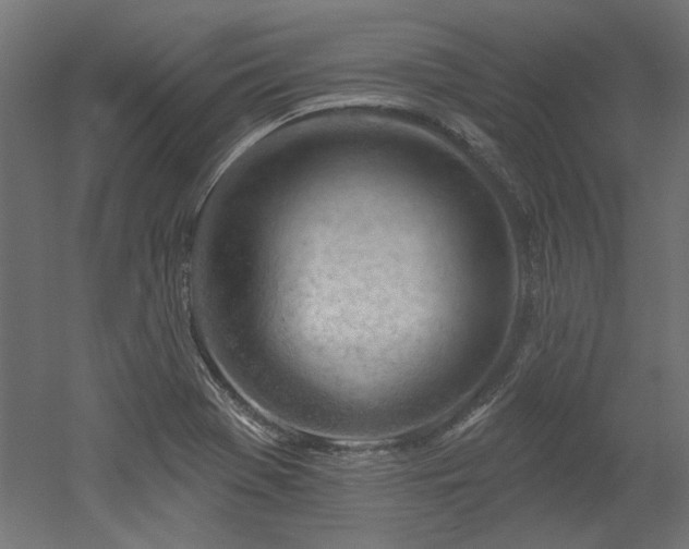 X0000052641369200507011335