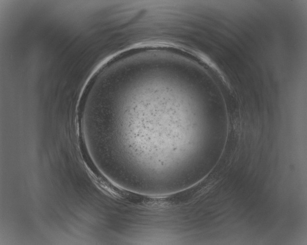 X0000052641372200507011335