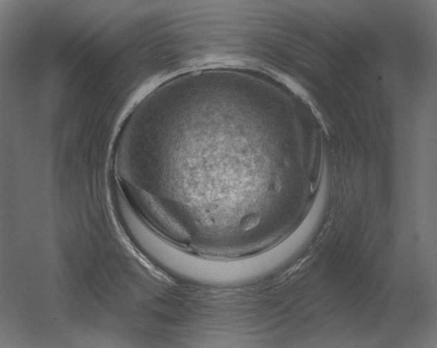 X0000052641373200507011335