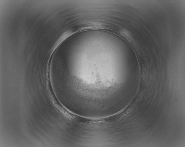 X0000052641378200507011335