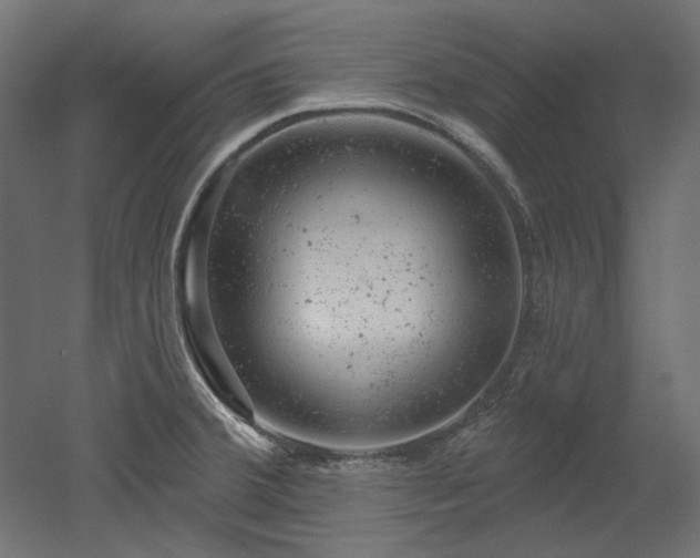 X0000052641380200507011335