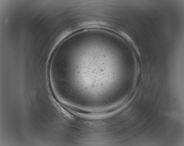 X0000052641384200507011335