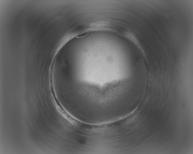 X0000052641386200507011335