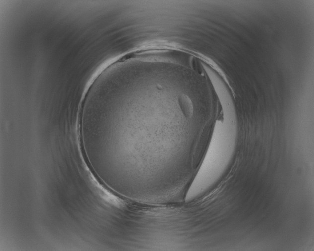 X0000052641387200507011335