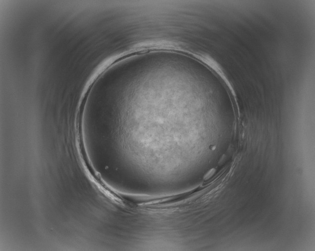 X0000052641389200507011335