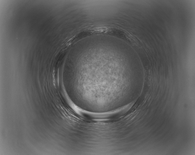 X0000052641394200507011334