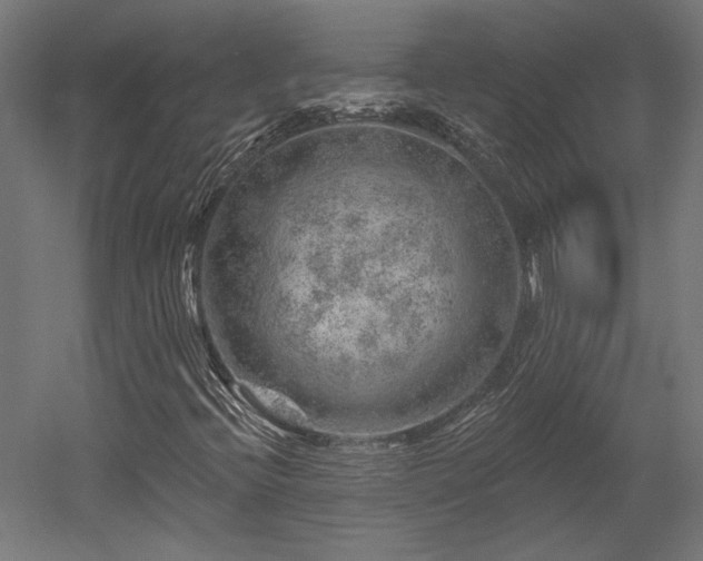 X0000052641396200507011334