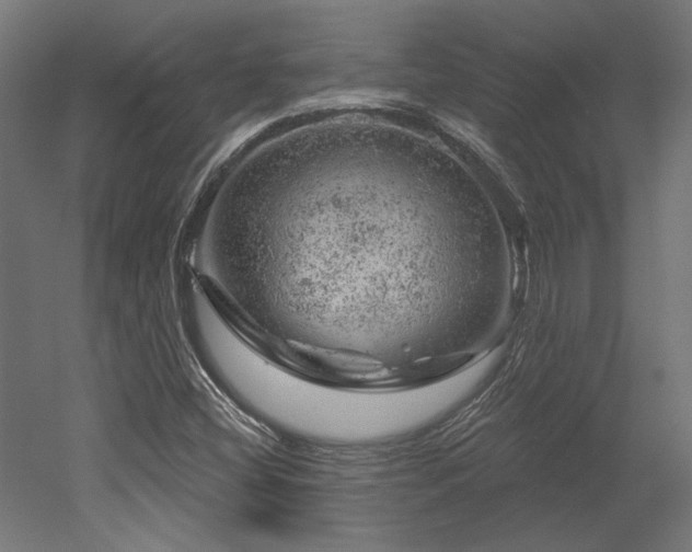 X0000052641404200507011334